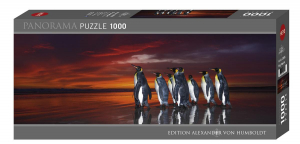 17178948472452-heyepuzzlekingpenguins1000pzanimali