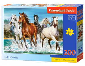 17226218504952-castorlandb222056puzzle200pzanimali