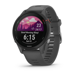 17248188836164-garminforerunner25533cm13mip46mmdigitale260x260pixelgrigiowifigpssatellitare