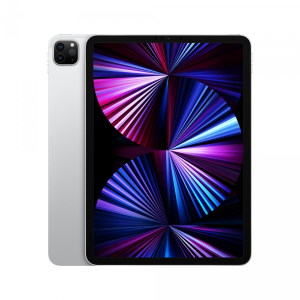 17254548307964-appleipadpro11conchipm1terzagenwifi256gbargento