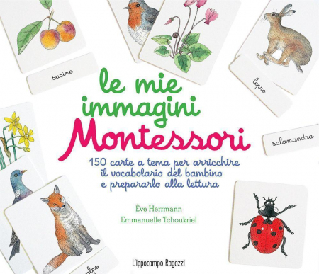 16552360843732-librolemieimmaginimontessori150carteatemaperarricchireilvocabolariodelbambinoeprepararloallaletturaedizillustrataeditorelippocamporagazzianno2016