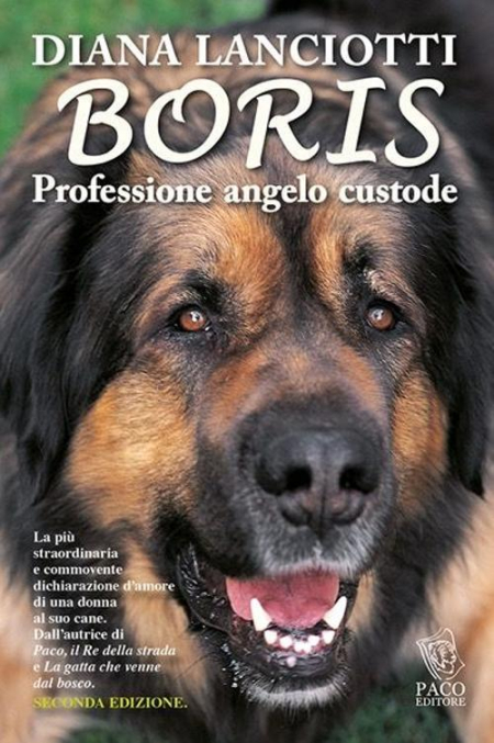 16552415485727-libroborisprofessioneangelocustodeeditorepacoeditoreanno2016