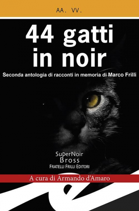 1655250538654-libro44gattiinnoireditorefrillianno2018