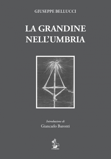 16552549851539-librolagrandinenellumbriaeditoreilformichiereanno2018