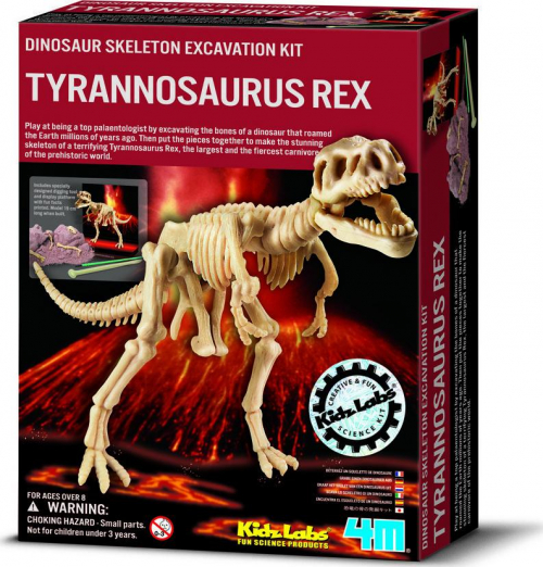 17186384240813-borellafunsciencescavaunfossiletrex