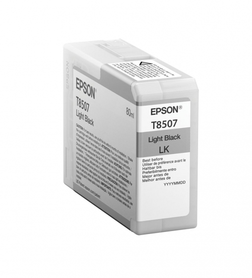 17250134509542-epsonsinglepacklightblackt850700