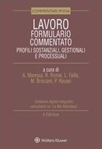 16552172018487-lavoroformulariocommentatoprofilisostanzialigestionalieprocessuali