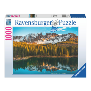 17158739854321-puzzleda1000pezzilagodicarezza