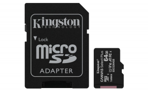 17177979451125-kingstontechnologyschedamicsdxccanvasselectplus100ra1c10da64gbadattatore