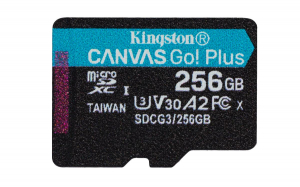 17179847181796-kingstontechnologyschedamicrosdxccanvasgoplus170ra2u3v30da256gbadattatore