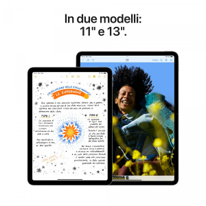 17179951028748-appleipadair11wificellular256gbgrigiosiderale