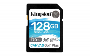 17180323048548-kingstontechnologyschedasdxccanvasgoplus170rc10uhsiu3v30da128gb