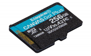 17188029547039-kingstontechnologyschedamicrosdxccanvasgoplus170ra2u3v30da256gbadattatore