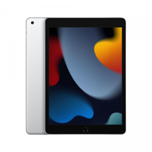 17195816463544-appleipad256gb259cm102wifi580211acipados15argento