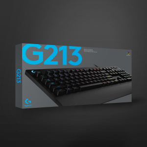 17199184869987-logitechgg213prodigytastieragiocareusbqwertyinglesenero