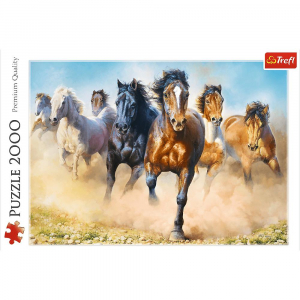 17226100952505-trefl27098puzzle2000pzanimali