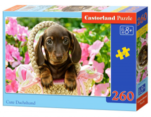 17226182368839-castorlandcutedachshund260pcspuzzle260pzfauna