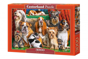 1722618932293-castorlanddogclubpuzzle3000pzanimali