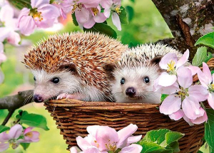 1722635128353-castorlandspringtime120pcspuzzle120pzfauna