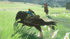 17227344993241-nintendothelegendofzeldabreathofthewildswitchstandardfrancesenintendoswitch