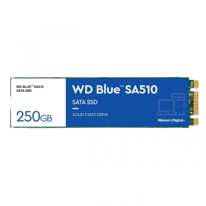 17229476550761-westerndigitalbluesa510250gbm2serialataiii