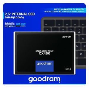 17230422015808-goodramcx400256gb25serialataiiiqlc3dnand