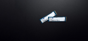 17234334996252-kingstontechnology4000gnv2m22280pcie40nvmessd