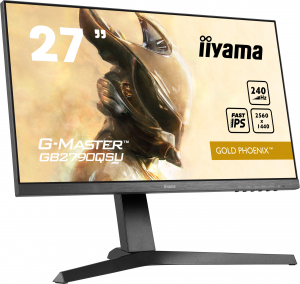 17242058647953-iiyamagmastergb2790qsub1monitorpc686cm272560x1440pixelwidequadhdlednero