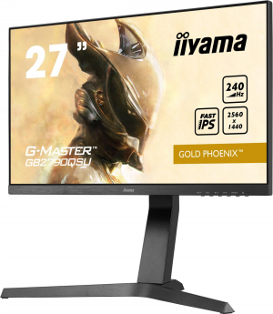 17242058716362-iiyamagmastergb2790qsub1monitorpc686cm272560x1440pixelwidequadhdlednero