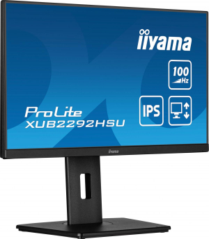 17242120409995-iiyamaprolitexub2292hsub6monitorpc559cm221920x1080pixelfullhdlednero