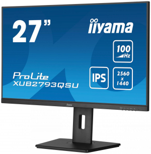 17242144497363-iiyamaprolitexub2793qsub6leddisplay686cm272560x1440pixelquadhdnero