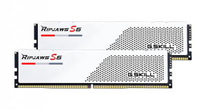 17244454714193-gskillripjawsf56000j3040g32gx2rs5wmemoria64gb2x32gbddr56000mhz