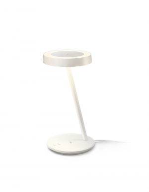 17252879801692-wizportraitdesklamp