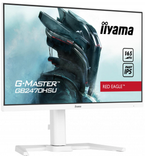 17255367507872-iiyamagb2470hsuw5monitorpc584cm231920x1080pixelfullhdledbianco