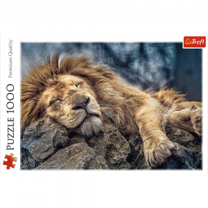 17262417662846-trefl10447puzzle1000pz