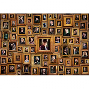 17265914960493-clementoniharrypotterpuzzle1000pztelevisionefilm