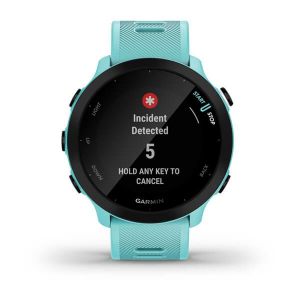 17271083623146-garminforerunner55264cm104mip42mmdigitale208x208pixelgpssatellitare