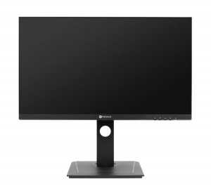 17281129579094-agneovodw2401leddisplay605cm2382560x1440pixelwidequadhdnero