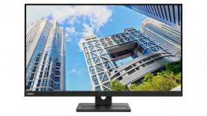 17292282655331-lenovothinkvisione28u20leddisplay711cm283840x2160pixel4kultrahdnero