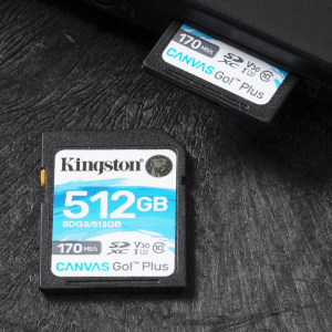 17298394874119-kingstontechnologyschedasdxccanvasgoplus170rc10uhsiu3v30da512gb