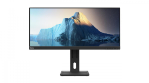 17300659919226-lenovothinkvisione29w20leddisplay737cm292560x1080pixelultrawidefullhdnero