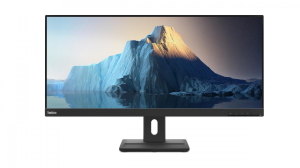 17300659975009-lenovothinkvisione29w20leddisplay737cm292560x1080pixelultrawidefullhdnero