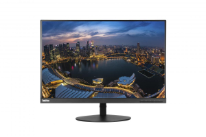 1730126634463-lenovothinkvisiont24dleddisplay61cm241920x1200pixelwuxganero