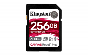 17303474312779-kingstontechnology256gbcanvasreactplussdxcuhsii300r260wu3v90forfullhd4k8k