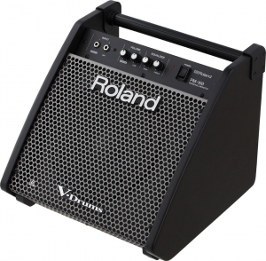 17303813655321-rolandpm100monitoraudionero