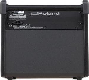 17303813663138-rolandpm100monitoraudionero