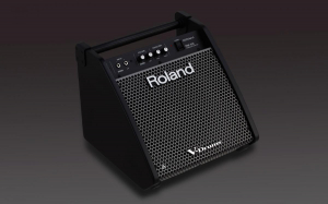 17303813671831-rolandpm100monitoraudionero