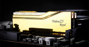 1730483665921-gskilltridentz5royalmemoria48gb2x24gbddr58000mhz