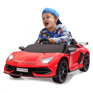 17304994435984-jamaralamborghiniaventadorsvjautocavalcabile