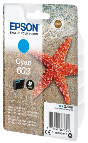 17311257791959-epsonsinglepackcyan603ink